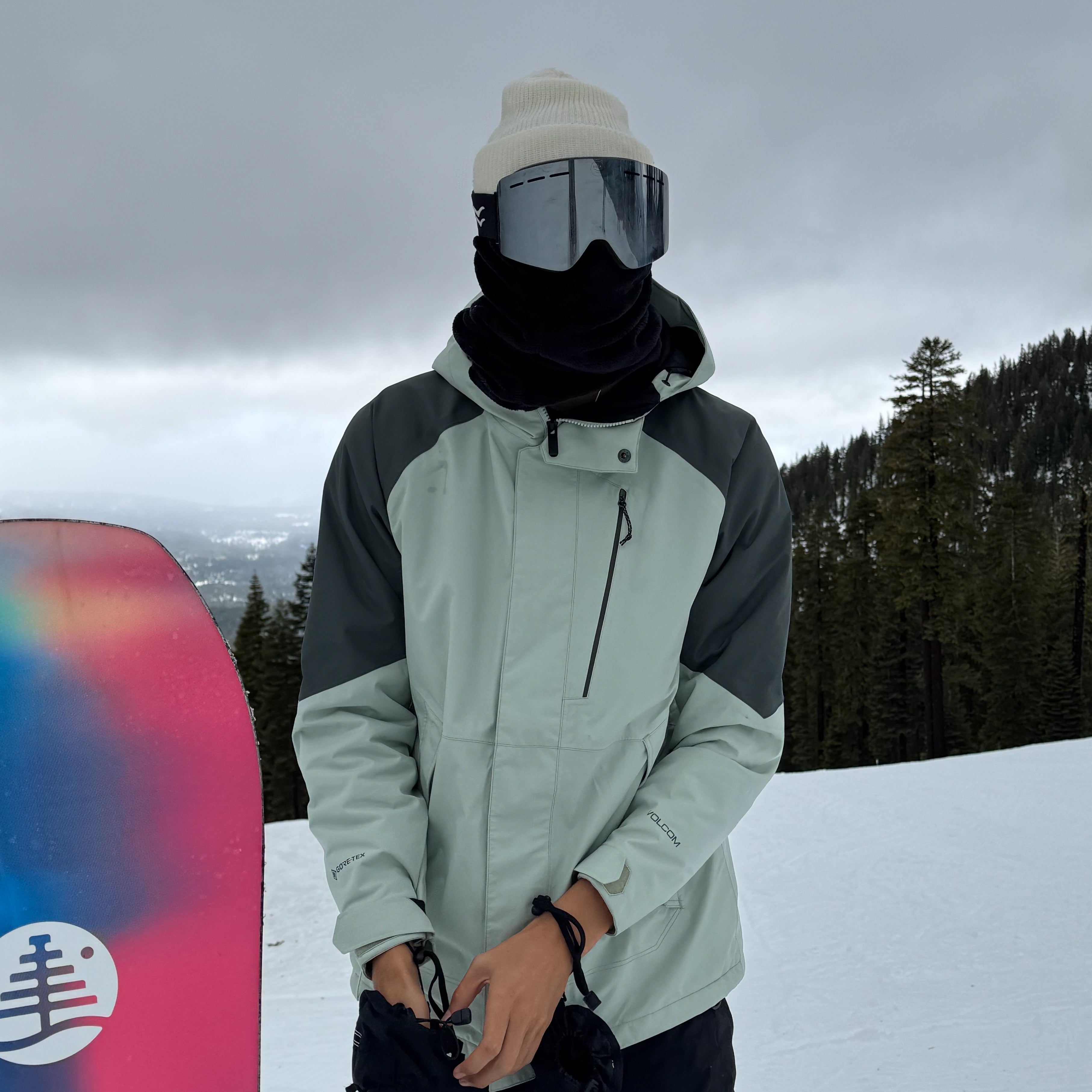 Person in winter gear holding a colorful snowboard with a snowy landscape in the background.
OLIVE / SILVER